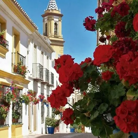 - Playa - Con Amplia Terraza Abierta A La Piscina El12 Вілла