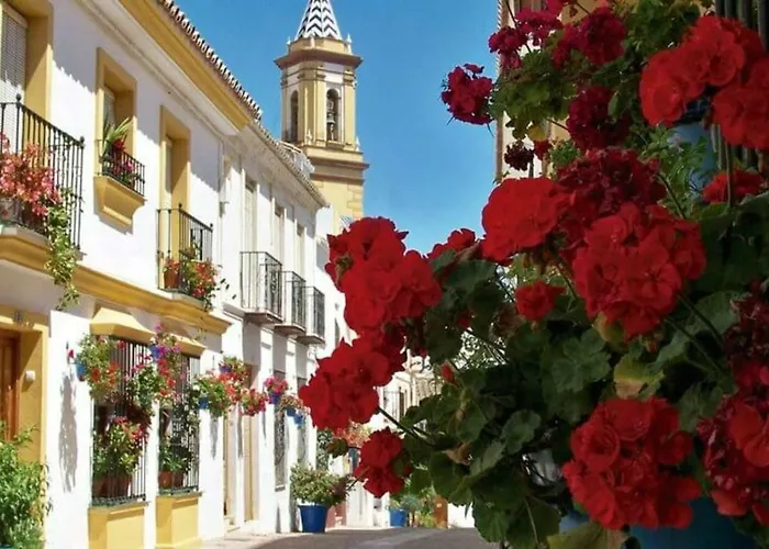 - Playa - Con Amplia Terraza Abierta A La Piscina El12 Villa